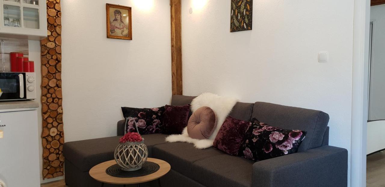 Apartment Marko セニ エクステリア 写真