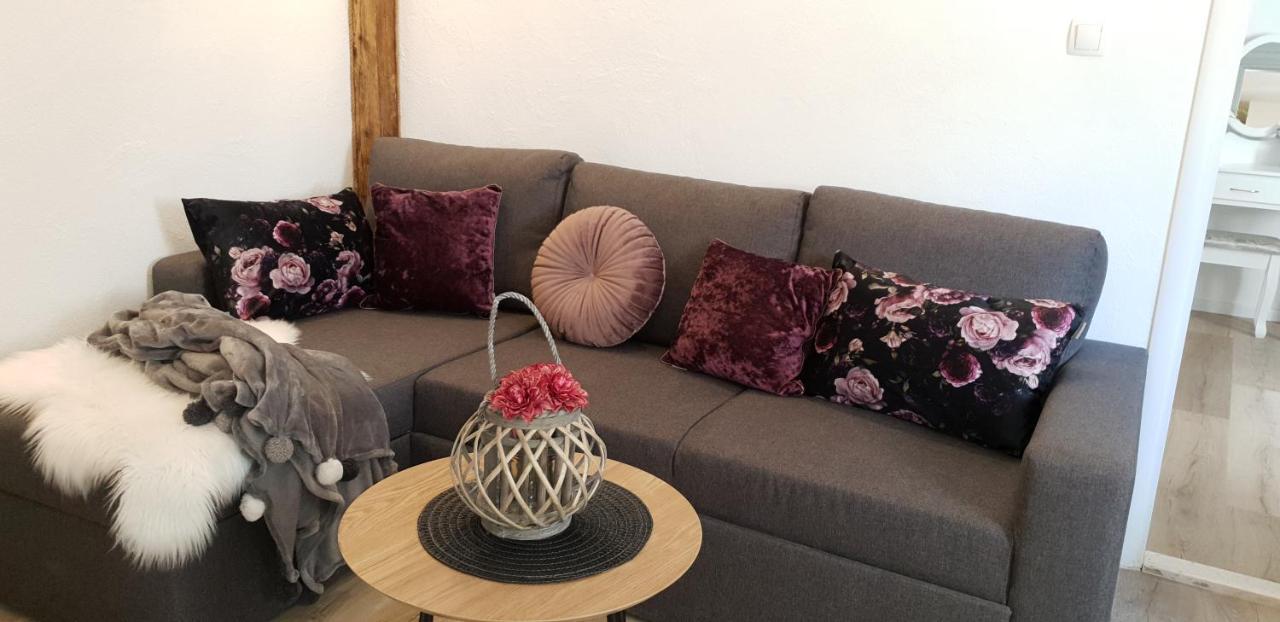 Apartment Marko セニ エクステリア 写真